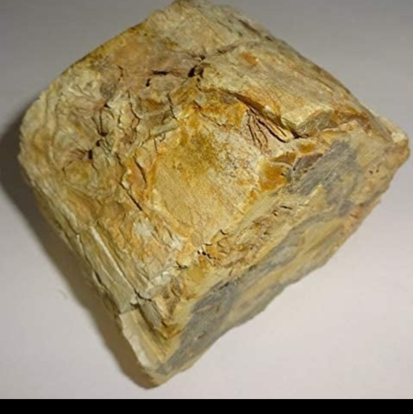 Petrified Fossilized Chunk of Wood with resin😍🤩 From the Ancients - Picture 6 of 7